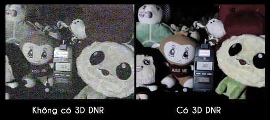 3D-DNR